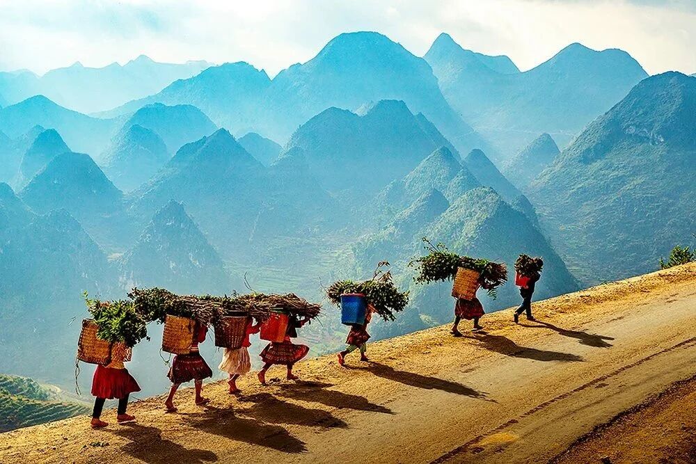 Immerse in Ha Giang’s vibrant heritage with fellow solos